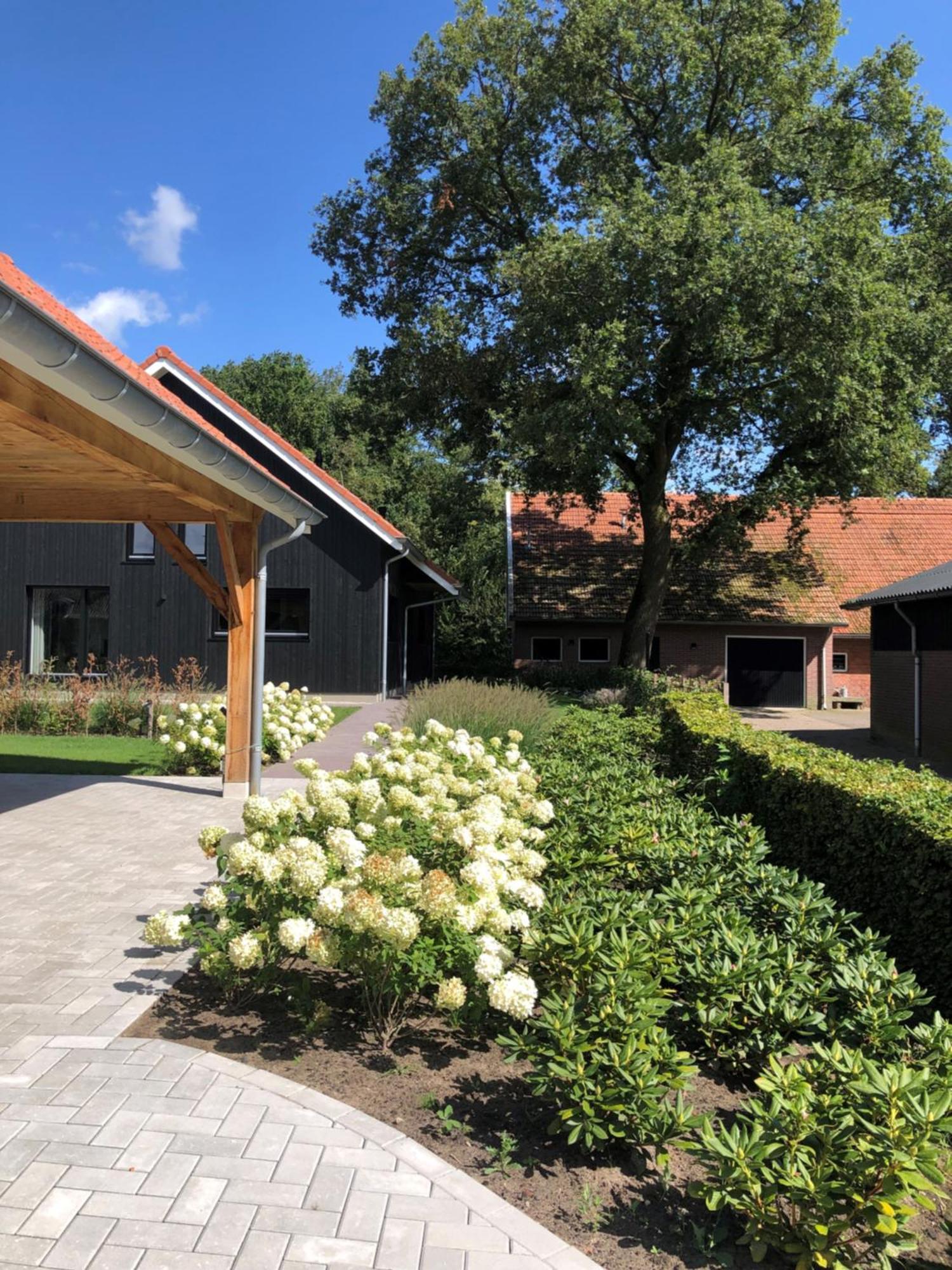 Smithoes Groot-Agelo Buitenkant foto